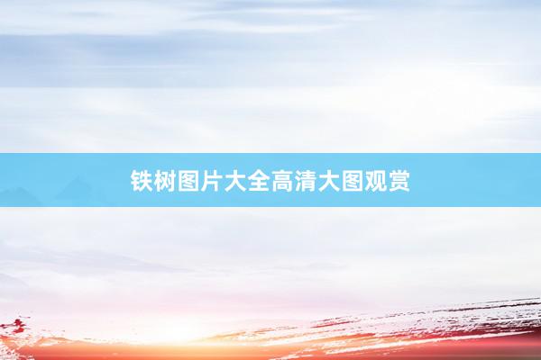 铁树图片大全高清大图观赏