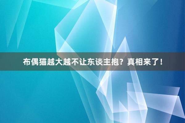 布偶猫越大越不让东谈主抱？真相来了！